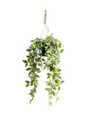 Trailing Artificial Potted Hanging Scindapsus Plant - The Farthing