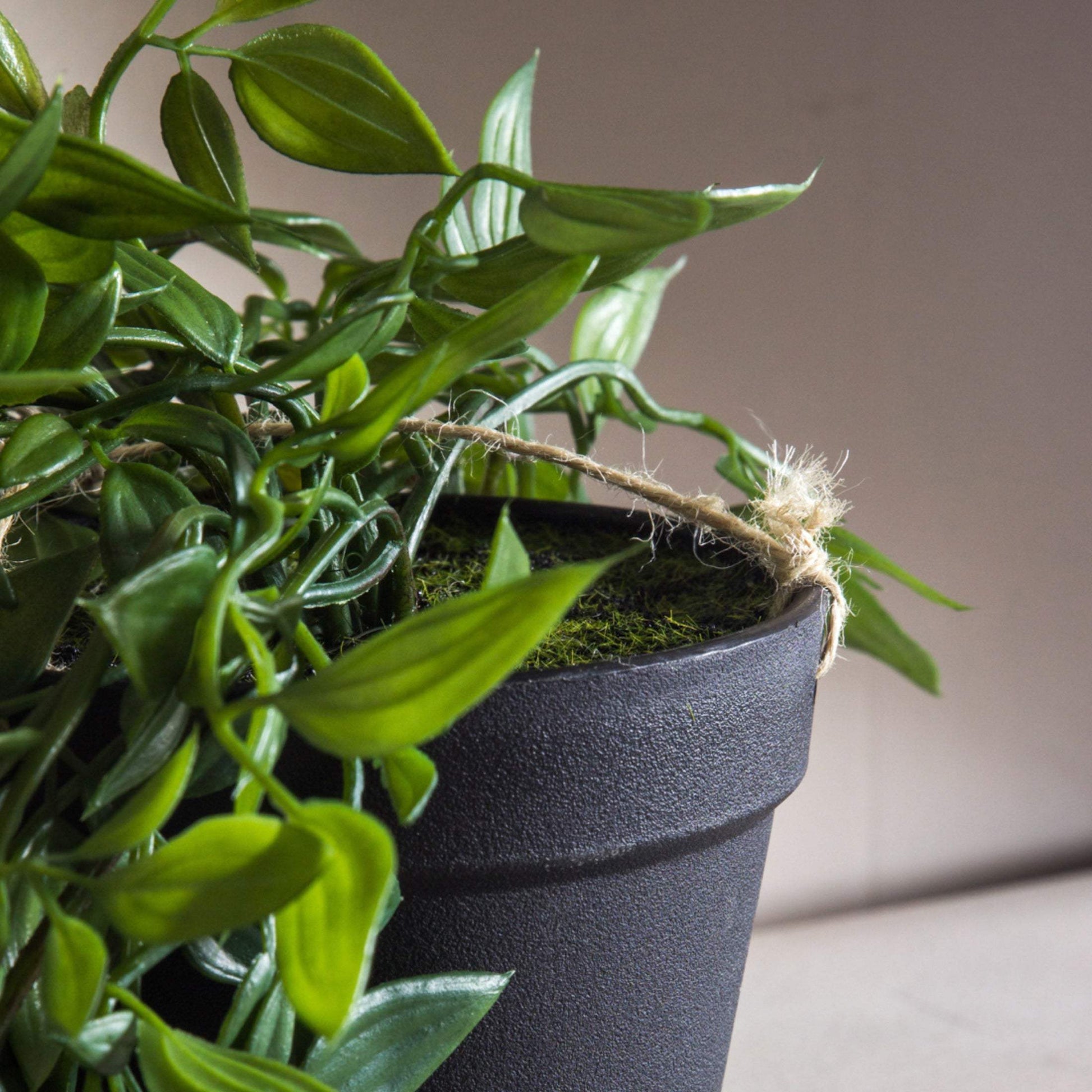 Trailing Artificial Potted Hanging Scindapsus Plant - The Farthing