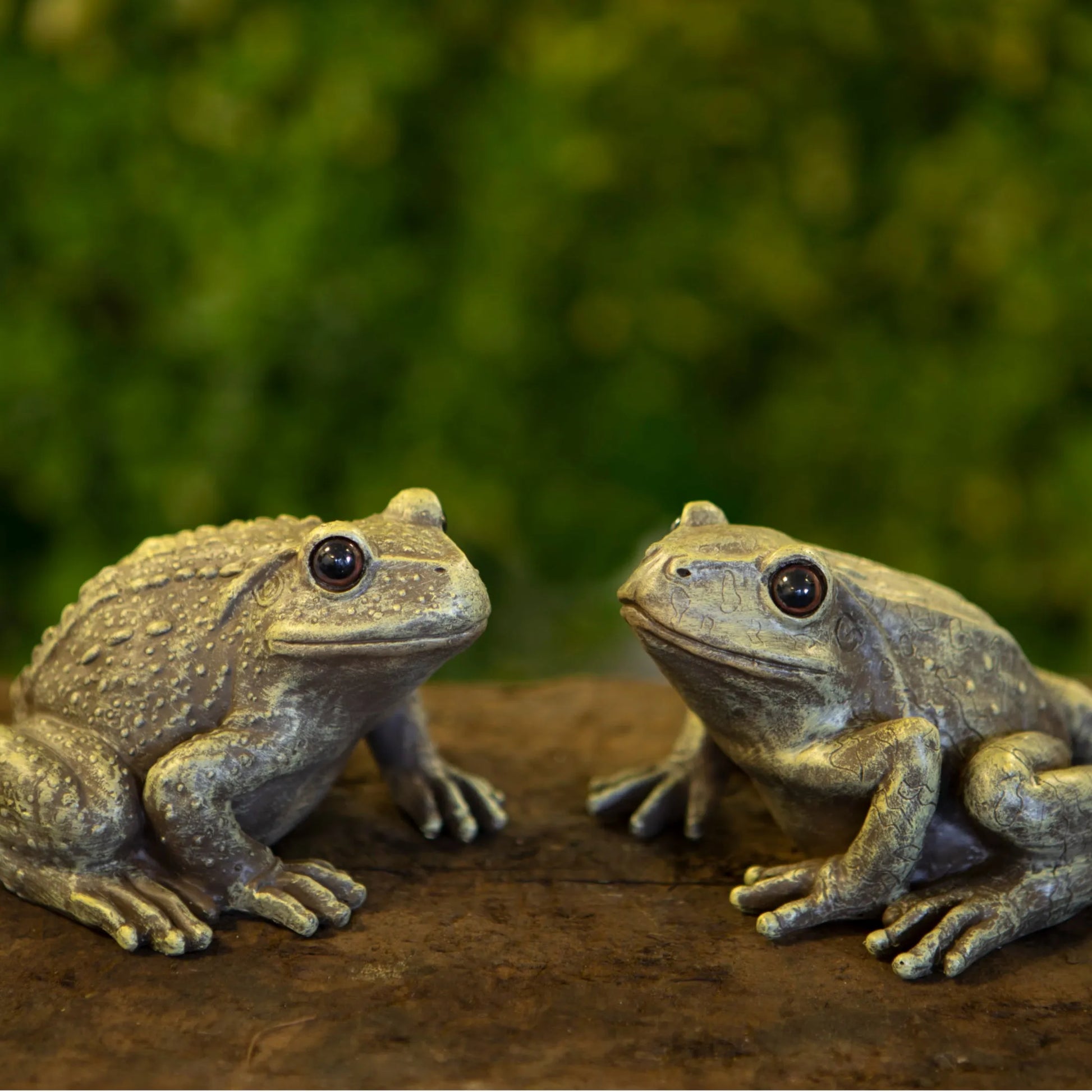 Two Green Garden Frog Ornaments 5