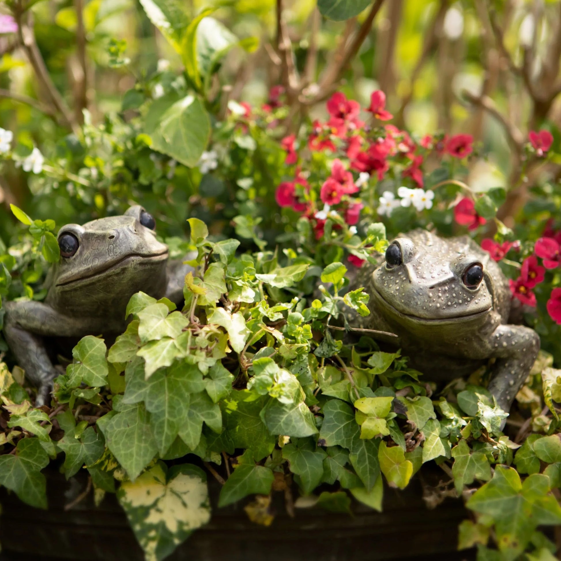 Two Green Garden Frog Ornaments