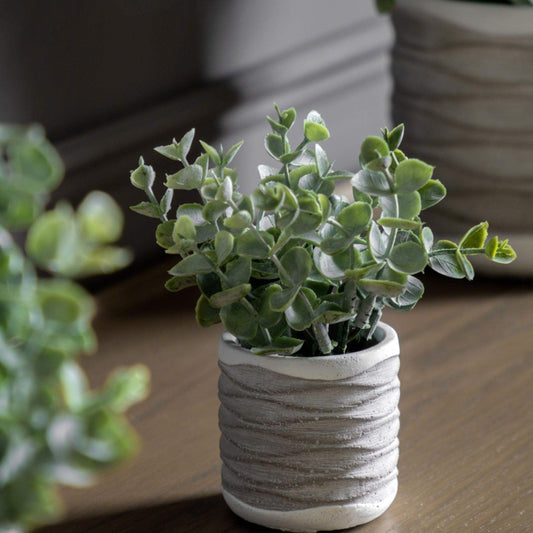 Two Small Faux Potted Eucalyptus in Rustic Pot - The Farthing