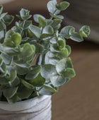 Two Small Faux Potted Eucalyptus in Rustic Pot - The Farthing