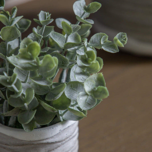 Two Small Faux Potted Eucalyptus in Rustic Pot - The Farthing