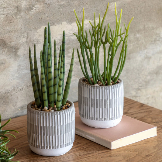 Two Small Potted Faux Succulents in Ceramic Pots 1