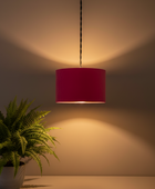 Red pendant lamp hanging against a plain wall with a plant on the left side.