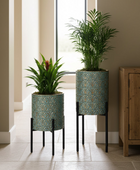 Two potted plants in decorative stands with a wooden cabinet in the background.