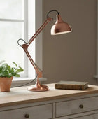 Copper desk lamp on a wooden surface with a plant and book in a room with windows.
