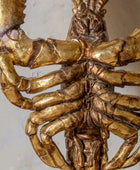 Close-up of a gold spider-like decorative object on a white background