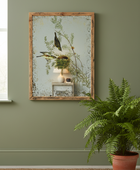 Framed artwork of birds and nature on a wall with a potted fern below.