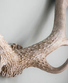 Weathered Antler Wall Art Decoration