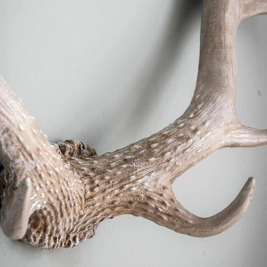 Weathered Antler Wall Art Decoration