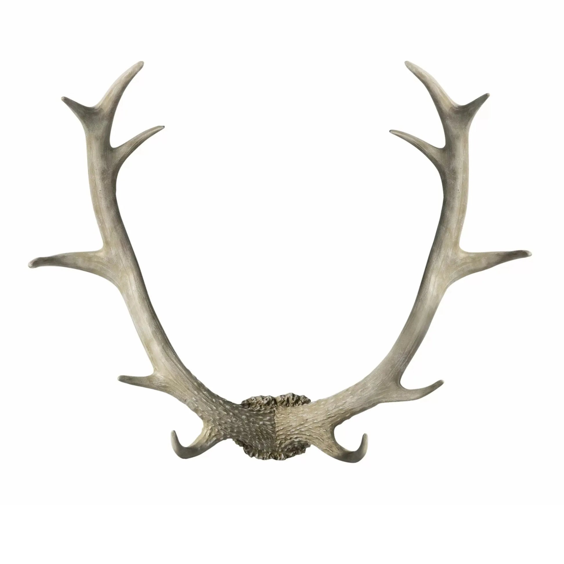 Weathered Antler Wall Art Decoration 2