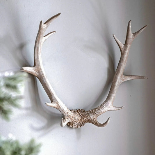 Weathered Antler Wall Art Decoration 5