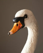 Close-up of a swan's head with a dark background