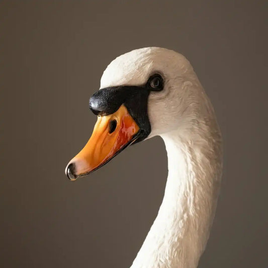 Close-up of a swan's head with a dark background