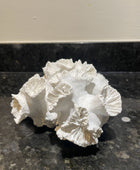 A white, textured coral-like decorative object with layered, ruffled edges, photographed on a dark speckled countertop against a light wall.