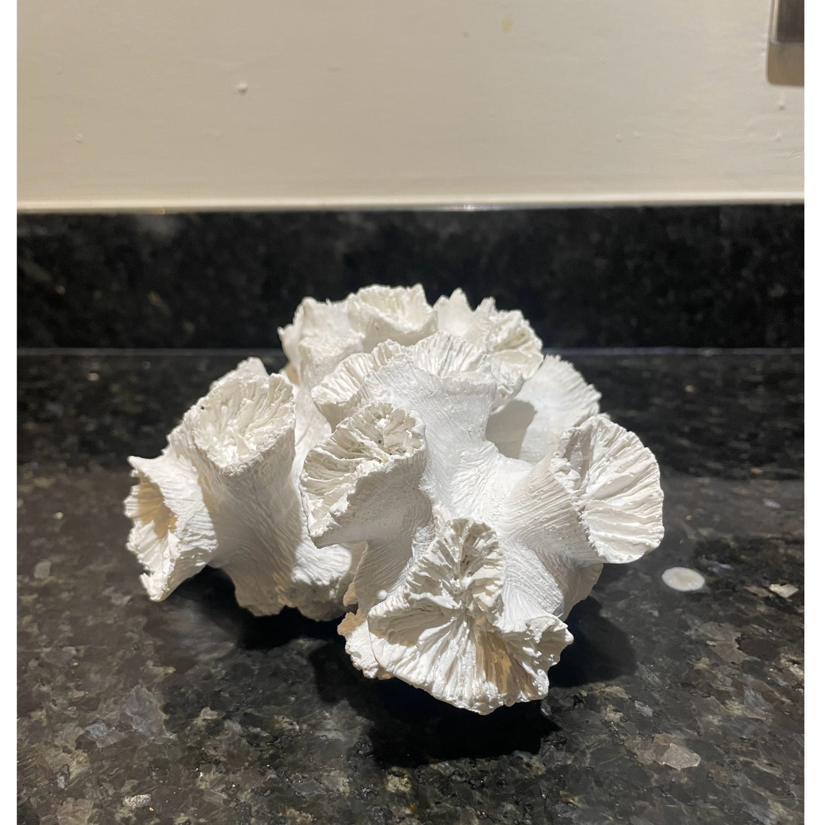 A white, textured coral-like decorative object with layered, ruffled edges, photographed on a dark speckled countertop against a light wall.