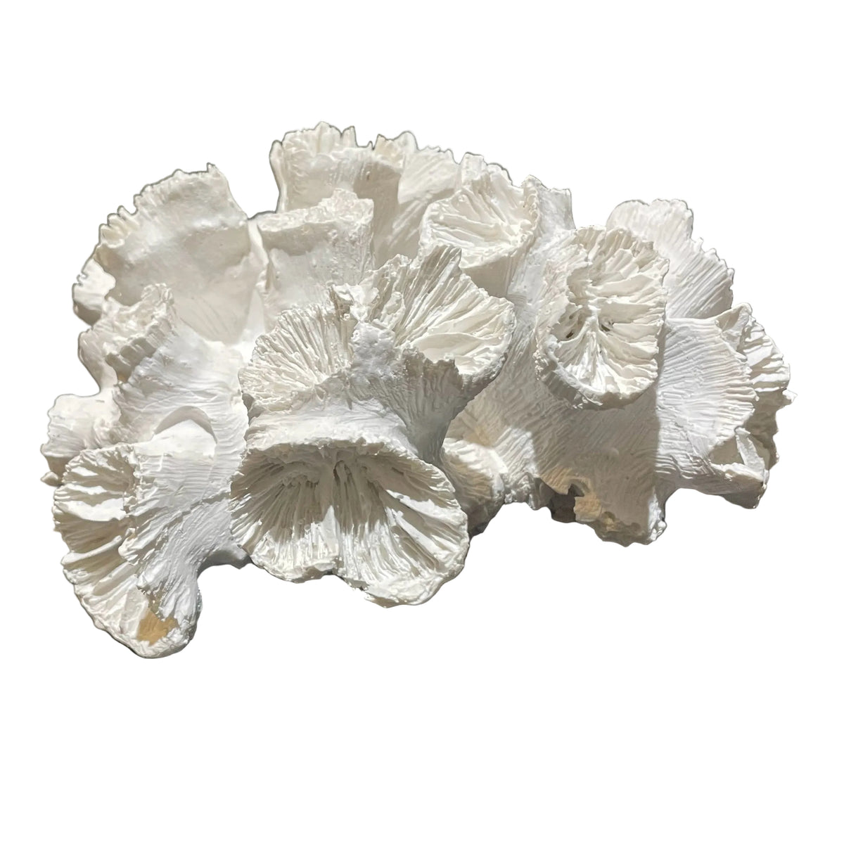 A white, textured coral-like decorative piece with layered, ruffled edges, photographed on a dark speckled countertop.