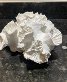 A white textured decorative object with layered, ruffled, coral-like shapes, photographed on a dark speckled countertop.