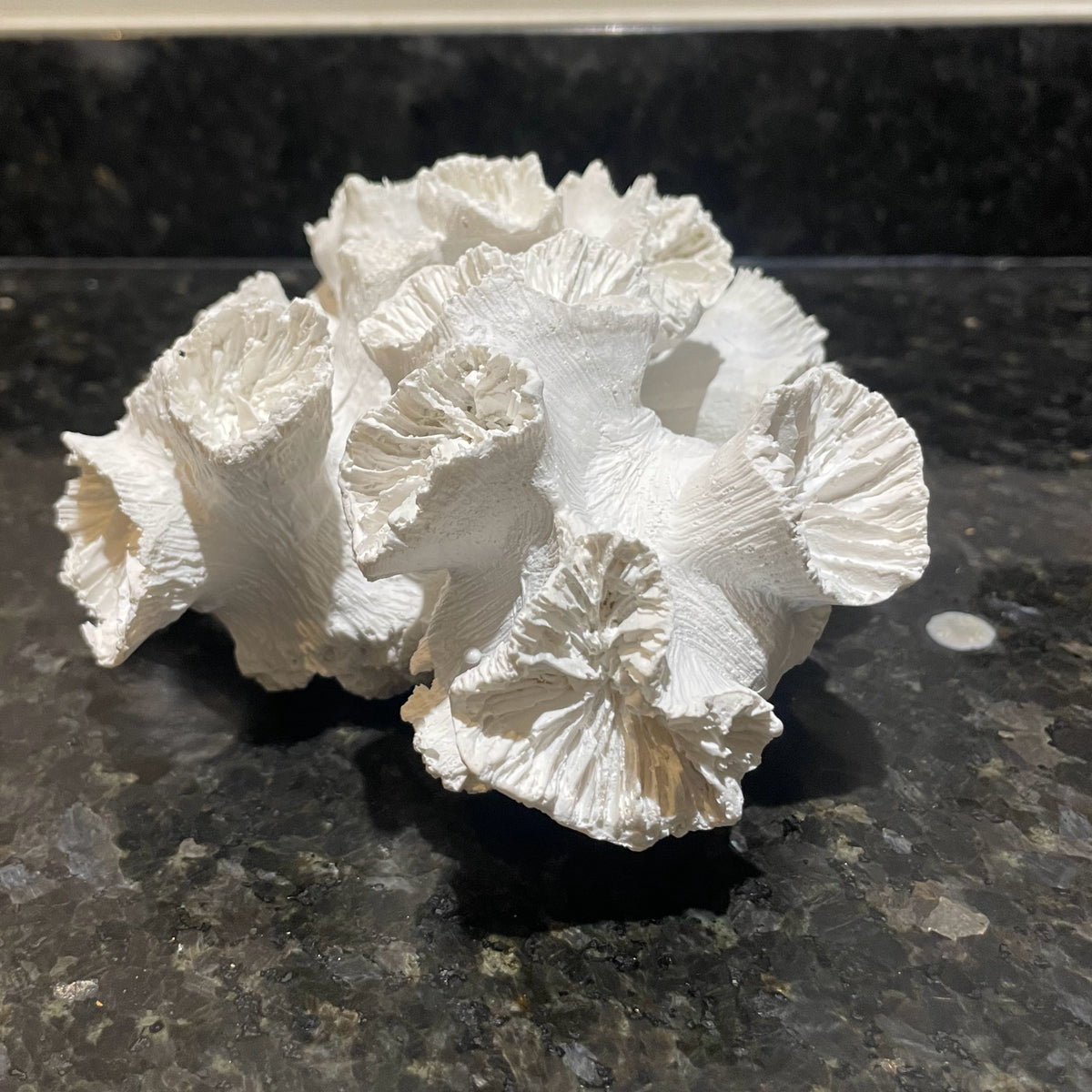 A white textured decorative object with layered, ruffled, coral-like shapes, photographed on a dark speckled countertop.