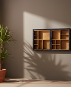 Wooden shelf with glass doors against a wall with a potted plant nearby.