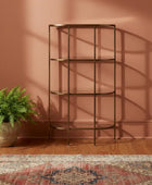 Bronze bookshelf against a pink wall with a plant and patterned rug.