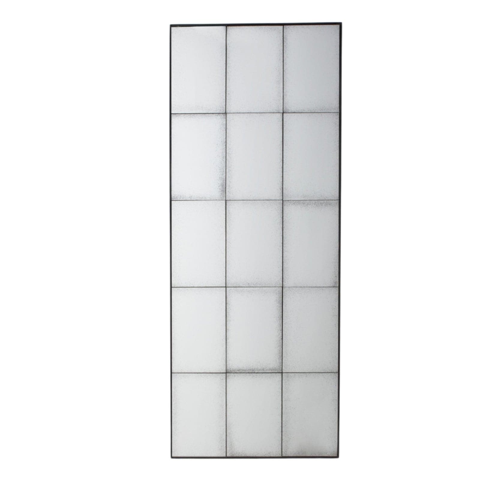 Aged Glass Tall Panel Mirror - The Farthing