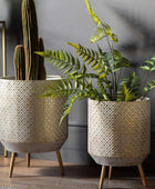 Amara Distressed Gold Metal Planter Set of 2 - The Farthing