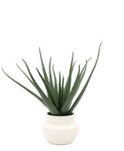 Artificial Aloe Vera in White Ceramic Pot - The Farthing