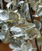 Artificial Eucalyptus Plant in White Ceramic Pot - The Farthing