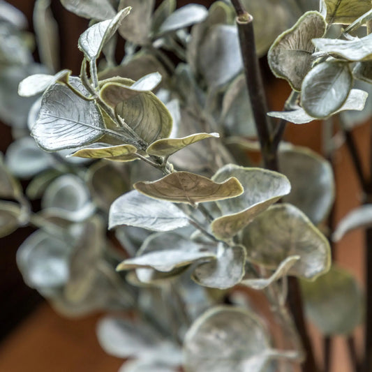 Artificial Eucalyptus Plant in White Ceramic Pot - The Farthing