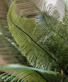Artificial Green Feather Fern Ceramic Pot - The Farthing