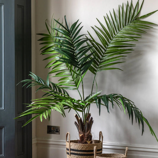 Artificial Green Kentia Palm Tree - The Farthing