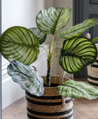 Artificial Green Potted Calathea Plant - The Farthing