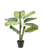Artificial Green Potted Calathea Plant - The Farthing