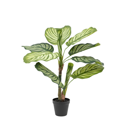 Artificial Green Potted Calathea Plant - The Farthing