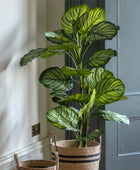 Artificial Green Potted Calathea Tree - The Farthing