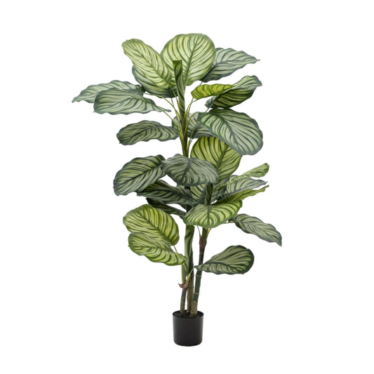 Artificial Green Potted Calathea Tree - The Farthing