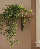 Artificial Large Potted Trailing Lace Ivy