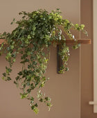 Artificial Large Potted Trailing Lace Ivy
