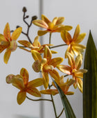 Artificial Orchid in White Ceramic Pot - The Farthing