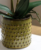 Artificial Orchid in Yellow Ceramic Pot - The Farthing