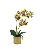 Artificial Orchid in Yellow Ceramic Pot - The Farthing