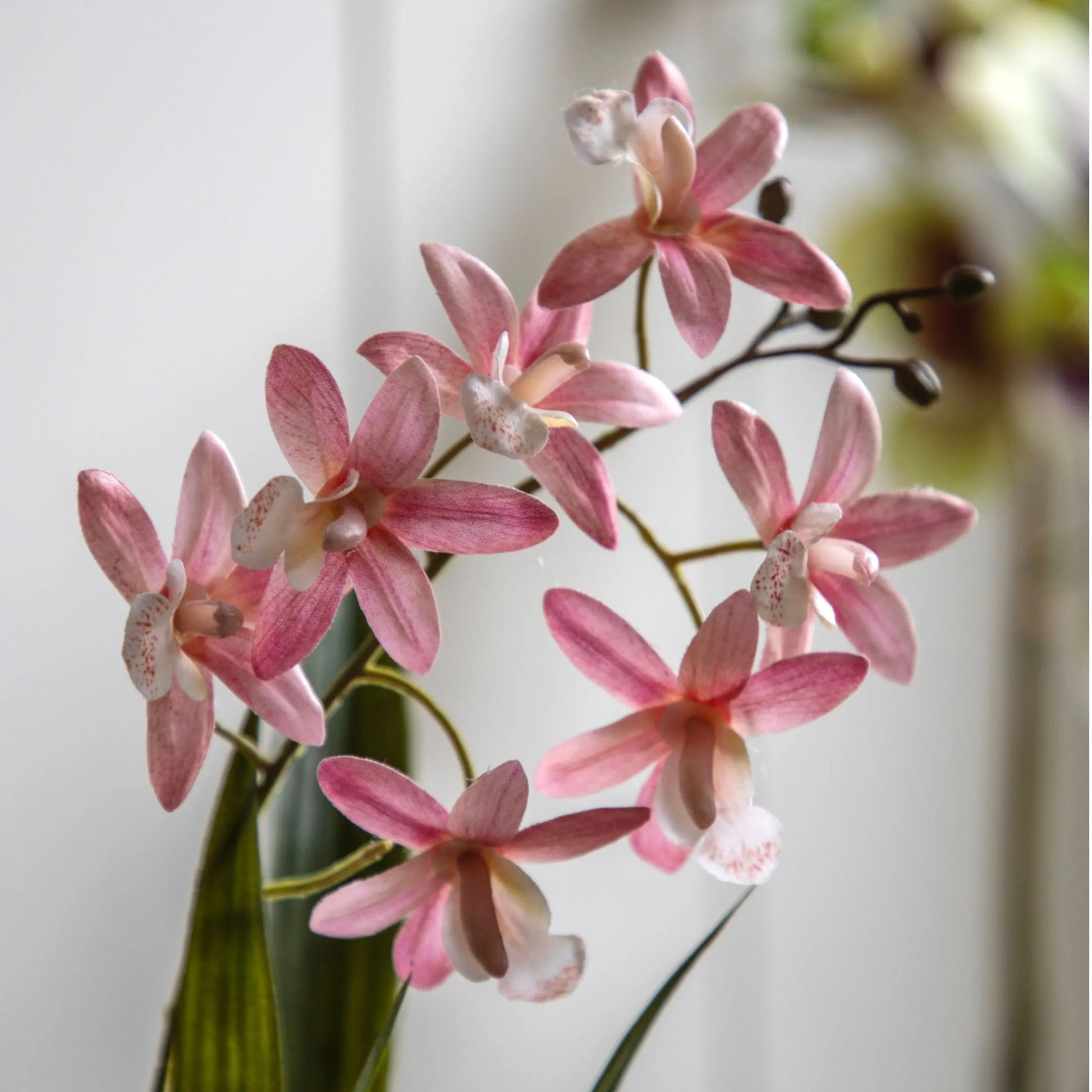 Artificial Pink Orchid in White Ceramic Pot - The Farthing