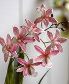 Artificial Pink Orchid in White Ceramic Pot - The Farthing