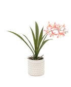 Artificial Pink Orchid in White Ceramic Pot - The Farthing