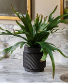 Artificial Playycerium Plant in Black Ceramic Pot - The Farthing