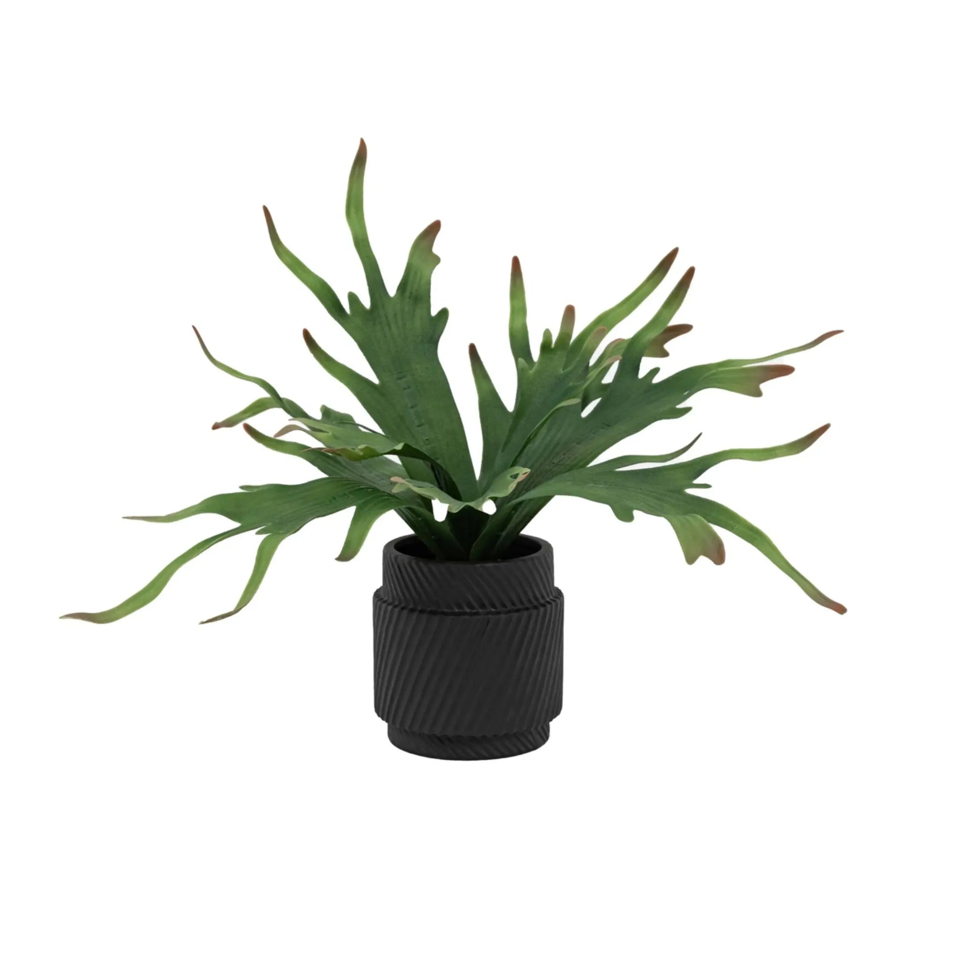 Artificial Playycerium Plant in Black Ceramic Pot - The Farthing