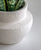 Artificial Snake Plant in White Ceramic Pot - The Farthing