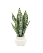 Artificial Snake Plant in White Ceramic Pot - The Farthing